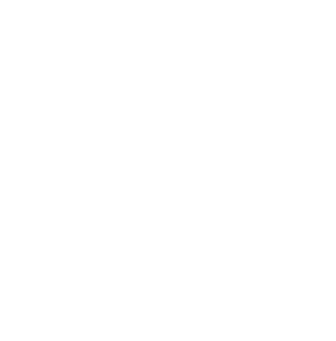 Hyonbag